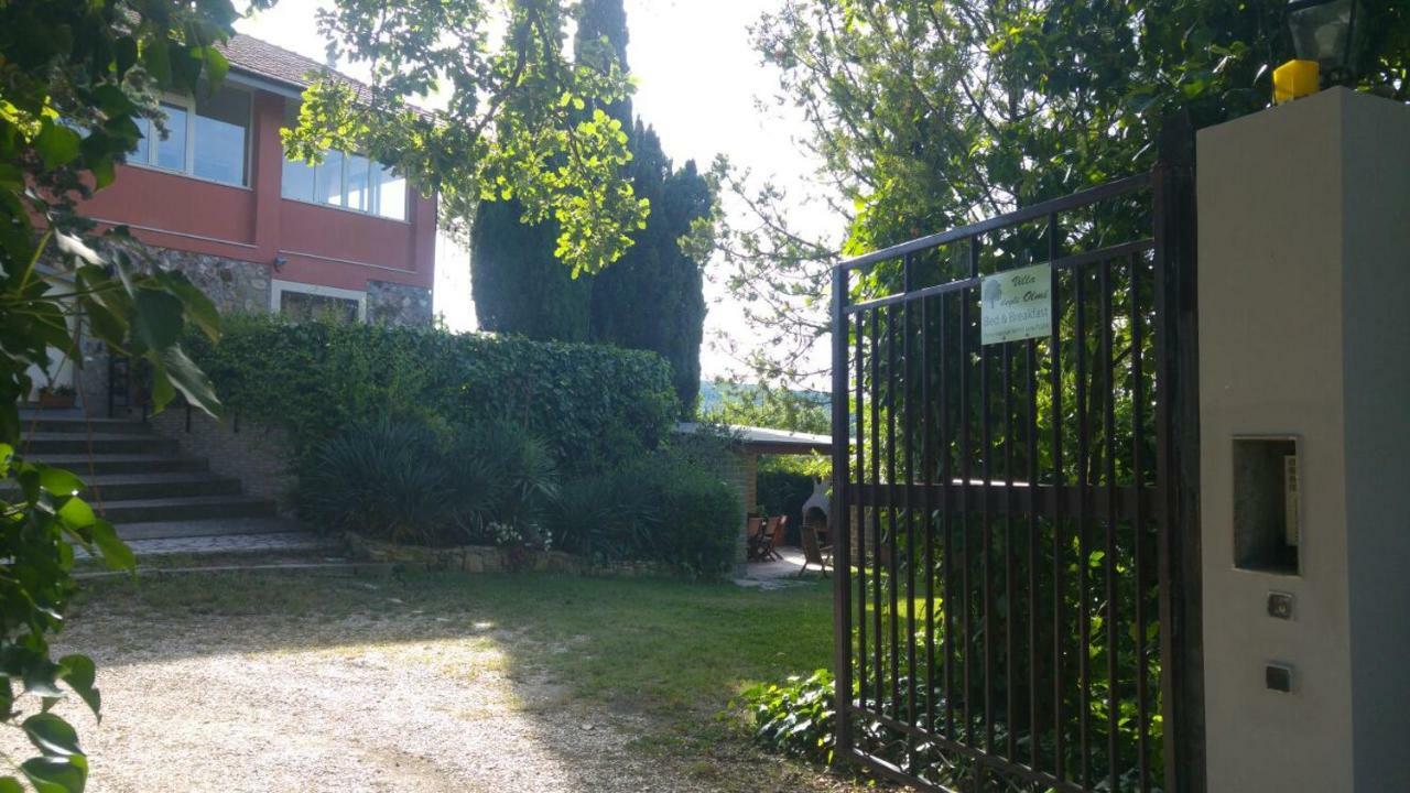 Villa Degli Olmi Allumiere Exterior photo